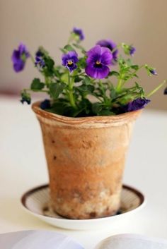 a potted plant sitting on top of a plate next to an open book