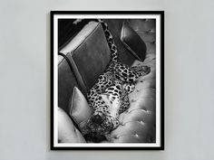 a black and white photo of a leopard laying on a couch