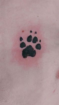 an animal's paw print on the chest is shown in black and red ink