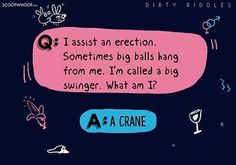 a pink speech bubble that says i assist an erection sometimes big balls hang from me, i'm called a big swinger what am i?