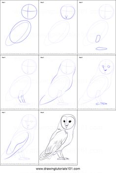 how to draw an owl step by step instructions for children and adults, with pictures on the