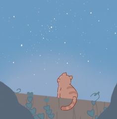 a cat sitting on top of a hill looking up at the stars in the sky