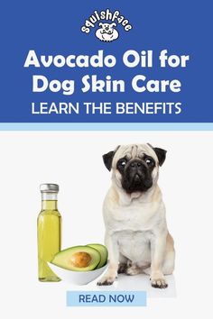 an advertisement for avocado oil for dog skin care with a pug sitting next to it