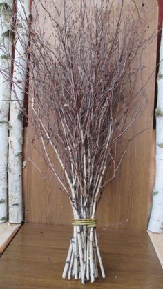 a vase with some branches in it on a wooden shelf next to white birch trees