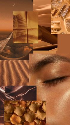 a collage of images with different things in them including sand, shells and trees