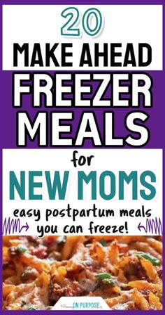 20 Freezer Dinners You Can Make Ahead and Freeze (easy freezer meals for new moms) Foods You Can Freeze For Later, Make Ahead Crockpot Meals To Freeze, Make Ahead Dinners, Meals You Can Freeze, Pregnancy Freezer Meals, Healthy Postpartum, Easy Dinners For One, Freezer Meals For New Moms, Cheap Meals For Two