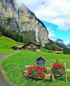 there is a sign in the grass with flowers on it next to a road and mountains