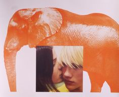 an orange elephant and a woman kissing each other