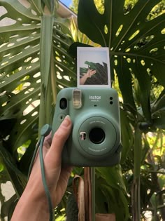 a person holding up a camera in front of some plants