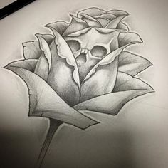 a pencil drawing of a rose with a skull on it's center and leaves