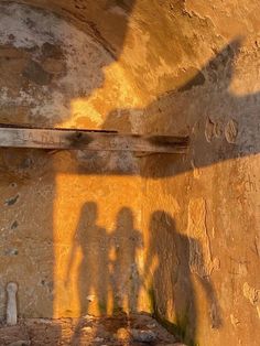 the shadow of two people standing next to each other