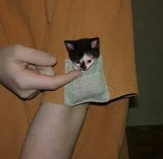 a small black and white kitten poking its head out of a pocket in someone's orange shirt