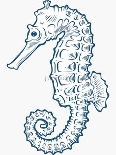 a drawing of a sea horse