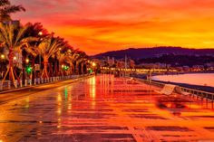 a city street with palm trees on both sides and the sun setting in the distance