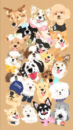 a bunch of dogs that are all together on a brown background, with the words dog in