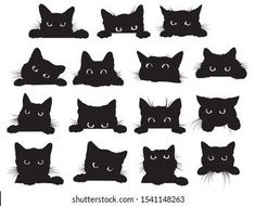 a set of black cats with different eyes and whiskers on their heads, all looking at the camera