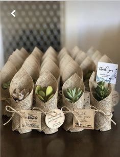 small succulents are wrapped in burlock and tied with twine