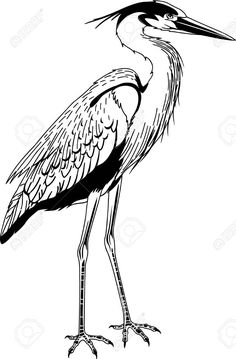 a black and white drawing of a heron bird