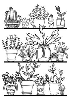 the printable coloring page for plants and potted plants is shown on a wooden surface