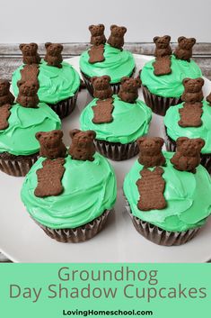 there are cupcakes with green frosting and teddy bears on them