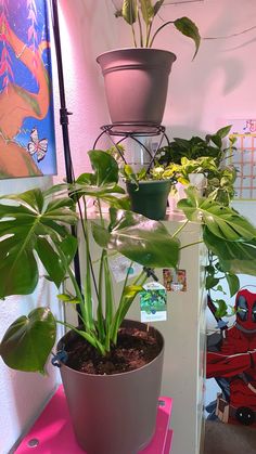 there is a potted plant sitting on top of a shelf next to another potted plant