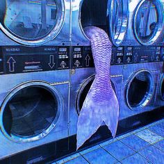 there is a fish in the washer