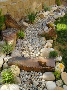 a garden with rocks and plants in it