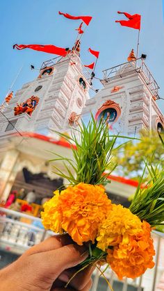 a person holding flowers in front of a building with flags flying above it and an orange flower