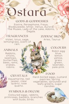 a menu with an image of a rabbit in the center and flowers around it, on top of a white background