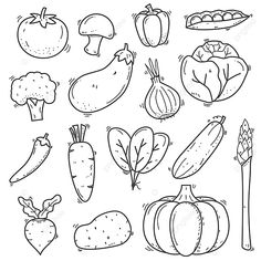 vegetables and fruits are drawn in black ink on a white background, including carrots, onions