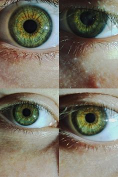 Eye Color Chart, Pretty Eyes, Red Ribbon, Color Chart, Green Eyes, Eye Color, Ribbon, Green, Red