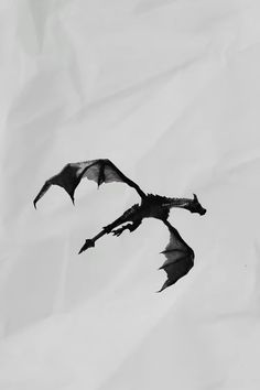 a black and white photo of a dragon flying in the sky with its wings spread