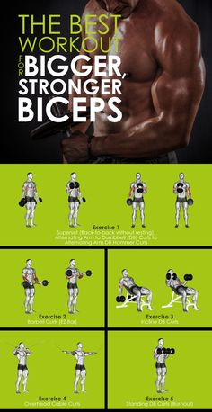 the best workout for bigger and longer biceps is shown in this graphic style