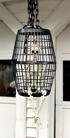 a skeleton in a cage hanging from the ceiling