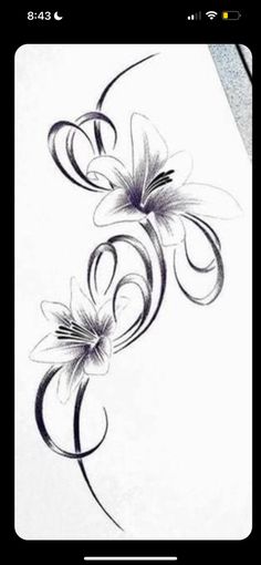 an artistic drawing of flowers on paper