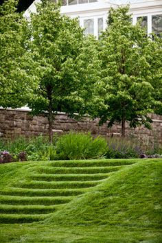 a green lawn with steps in the middle