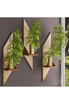 three wooden shelves with plants in them and the words home & garden decor above them