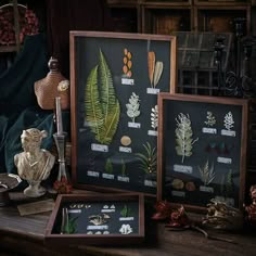 three framed pictures with plants and other things on display in front of a wooden table