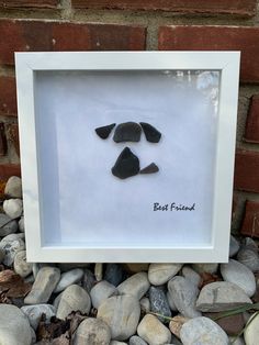 a dog's face is framed in a white frame on some rocks and gravel