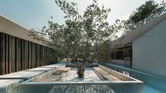 a tree in the middle of a pool with benches and tables around it, as seen from below