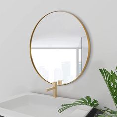 a bathroom sink with a round mirror above it and a plant in front of it