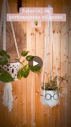 a potted plant hanging from a wooden wall