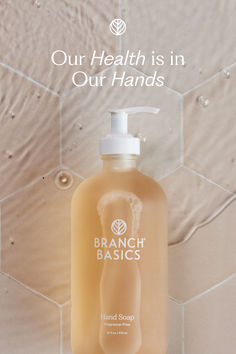 Consciously crafted using healthy ingredients like aloe, chamomile, and meadowfoam oil, this luxurious gel formula is made to soothe and hydrate even the most sensitive skin with every wash. Completely non-toxic from the fragrance-free lather to the beautiful frosted glass bottle it lives in. ✨ Branch Basics, Arizona House, Endocrine Disruptors, Refill Pouch, Healthy Ingredients, New Fragrances, Hand Care, Healthy Ingredient, Fragrance Free