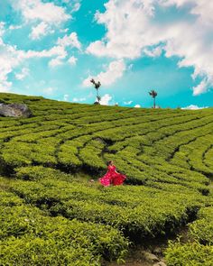 a woman in a red dress is walking through a green field with trees and bushes