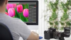 a man sitting in front of a computer monitor with flowers on the screen and a camera next to him