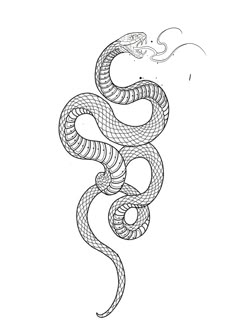 a black and white drawing of a snake with its tail curled up to the side