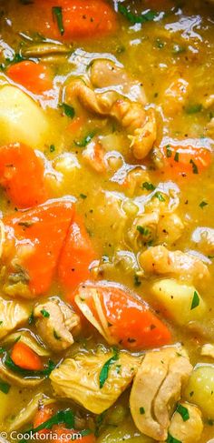 chicken, carrots and dumplings in a soup with broth on the side