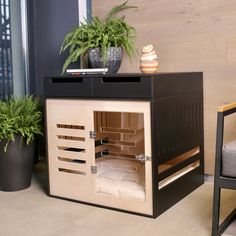 a plant is sitting on top of a cabinet next to a chair and potted plants