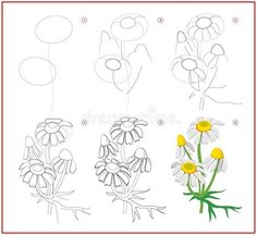 how to draw flowers for children with easy steps and instructions royalty illustration on white background