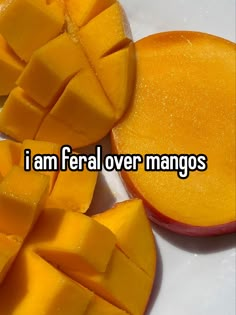 the words i am feral over mangos on a white surface